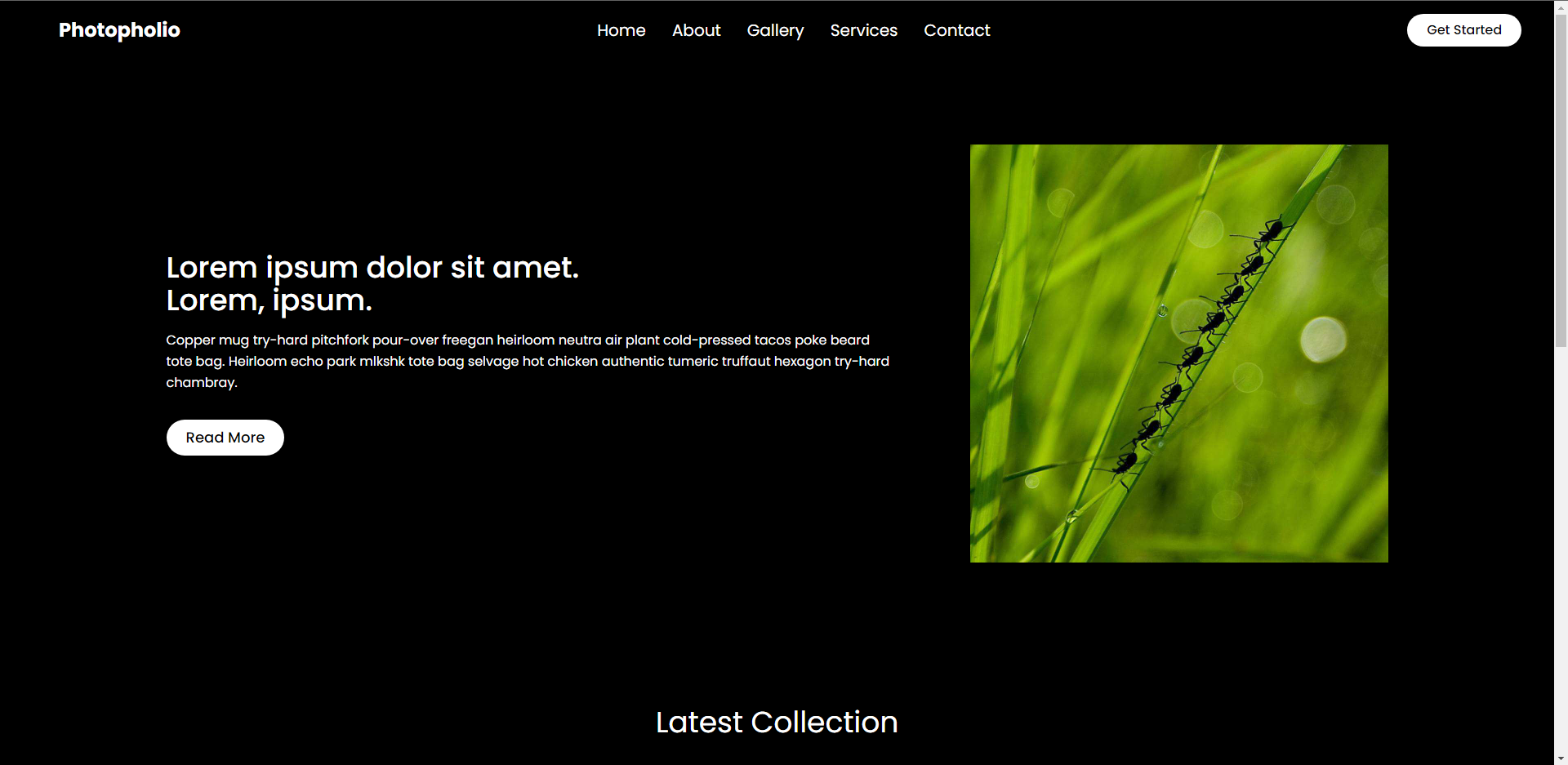 Photography Website